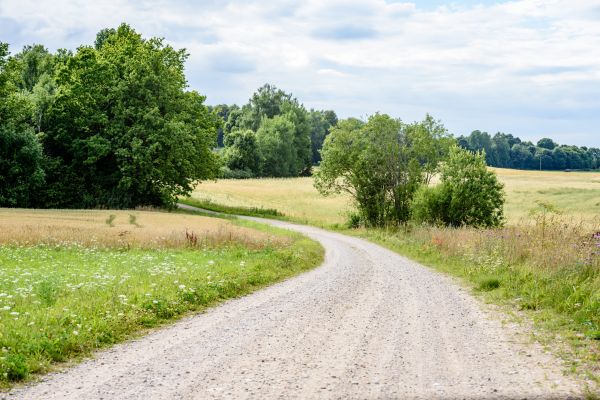 Stone Driveway Repair in South Lyon