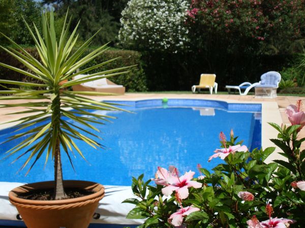 Cost of Pool Terrace Renovation in South Lyon