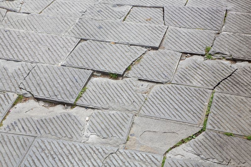 Paver Repair Specialists